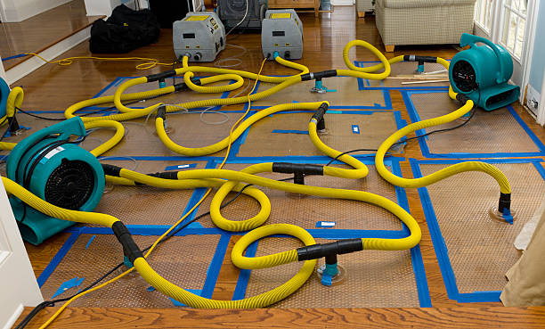Professional Structural Drying And Dehumidification technician working in Fort George G Meade, MD